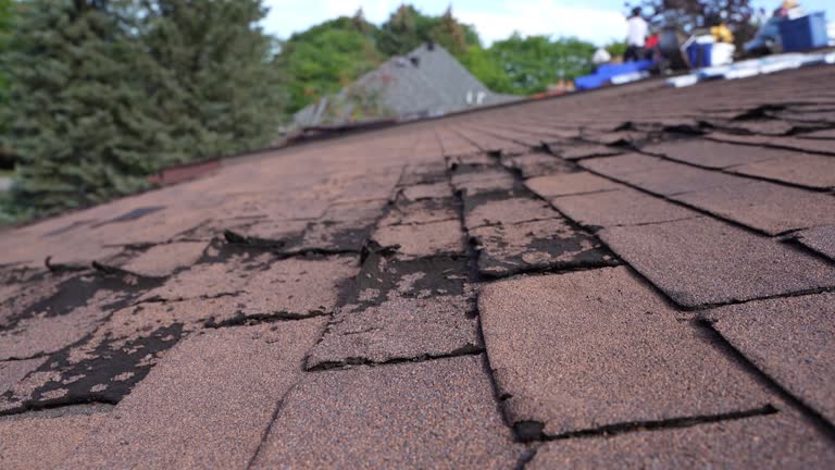 Best Hot Roofs  in Kapaa, HI